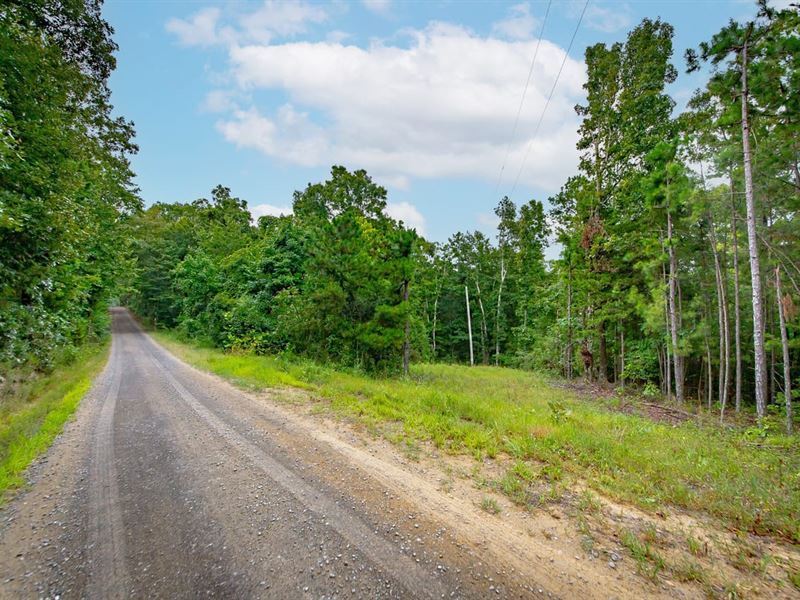 441 Holly Leaf Road : Bee Branch : Van Buren County : Arkansas