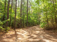 Foreclosure, $999 Down : Linden : Perry County : Tennessee