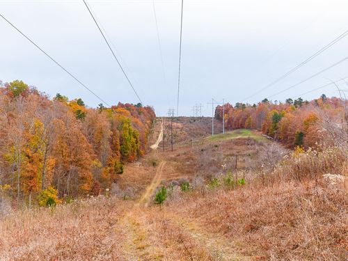 $999 Down Land in Reynolds County : Ellington : Reynolds County : Missouri