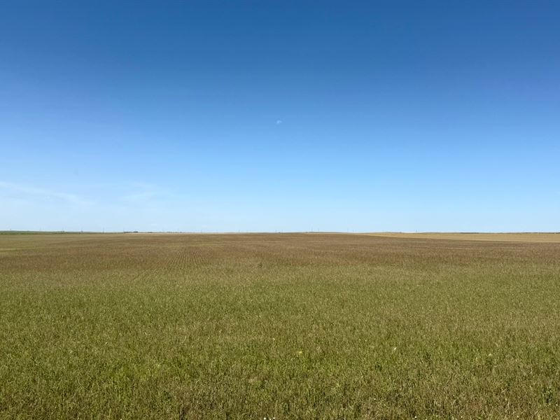 Co Rd 59 Dryland : Yuma : Yuma County : Colorado
