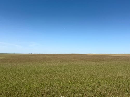 Co Rd 59 Dryland : Yuma : Colorado