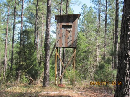 390 Acres Recreational / Timberland : Gaffney : Cherokee County : South Carolina