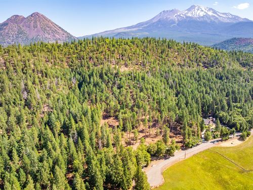 Mt. Shasta Villa : Mount Shasta : Siskiyou County : California