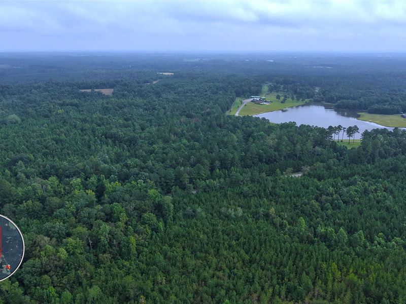578 Acres with A Home in Crenshaw : Rutledge : Crenshaw County : Alabama