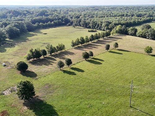 60.78 Acres In Alcorn County, MS : Corinth : Alcorn County : Mississippi