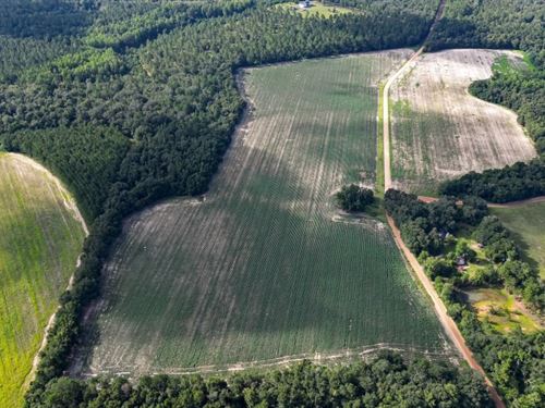 Twin Forks, Tract 2 : Statesboro : Bulloch County : Georgia