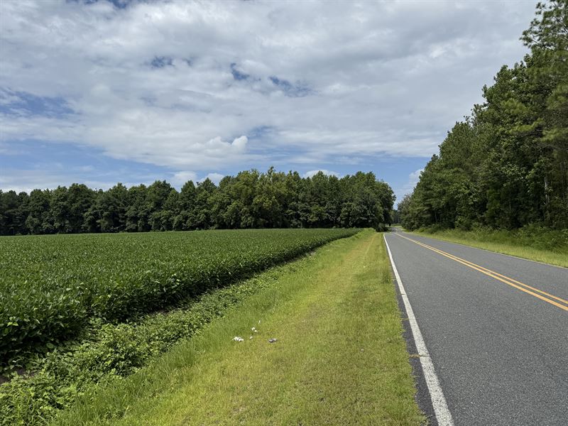 77-Ac Farm & Timberland, Hunting : Blounts Creek : Beaufort County : North Carolina