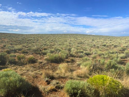 Affordable Colorado Land : San Acacio : Costilla County : Colorado