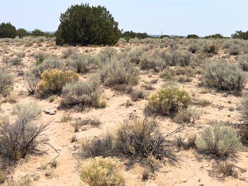 Have Some Outdoor Retreat : Saint Johns : Apache County : Arizona