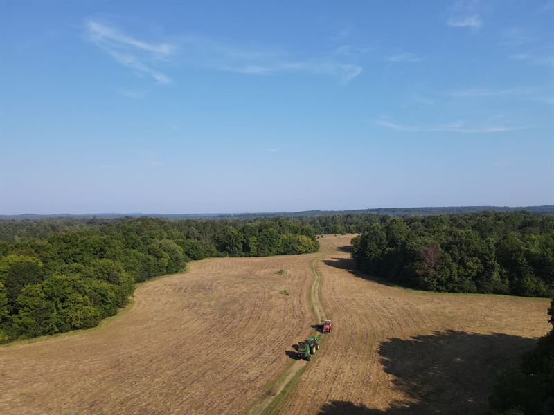 Darlington Tract : Camden : Wilcox County : Alabama