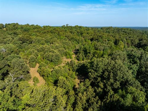 38 Acres, Shop, Electric in Sho : Smithville : Sharp County : Arkansas