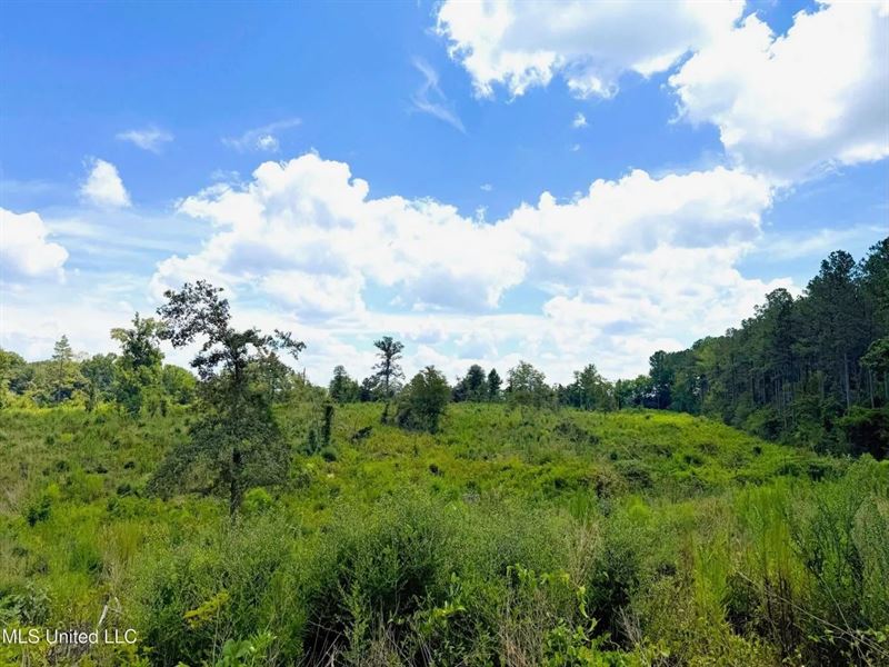 8 Acres Of Land for Sale in North : Jayess : Pike County : Mississippi