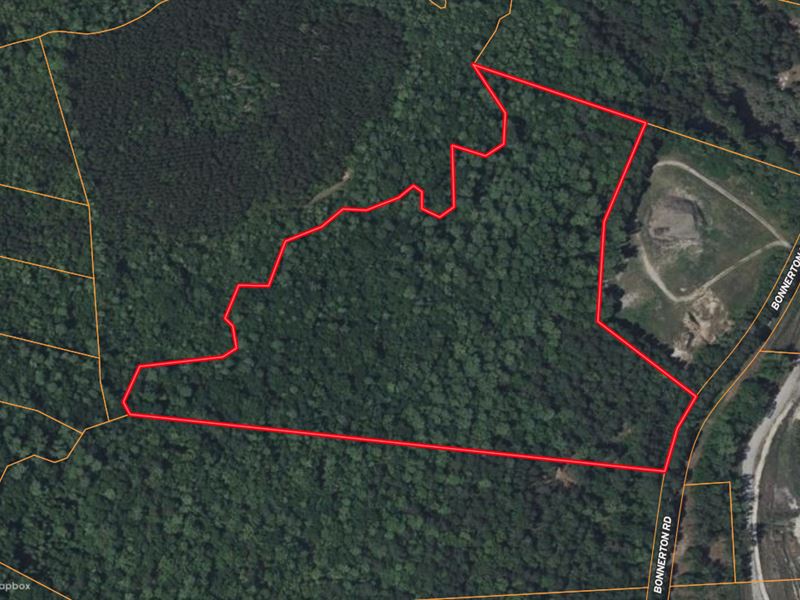 21 Acres of Mature Timber & Hunting : Edward : Beaufort County : North Carolina