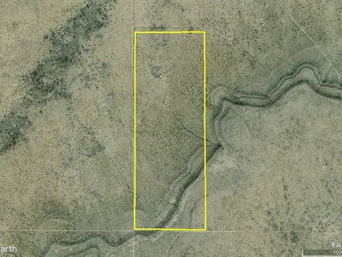 Texas Hunting Deal : Sierra Blanca : Hudspeth County : Texas