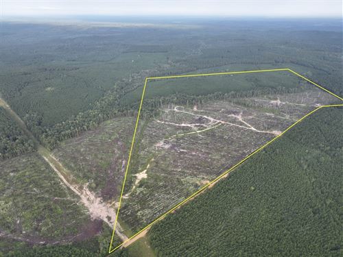 138 Acres, T-1, Red Rock Road, 3 : Robeline : Natchitoches Parish : Louisiana