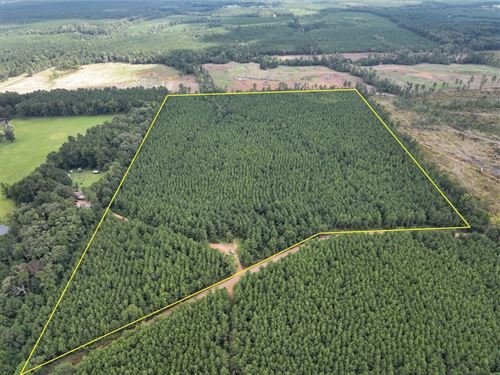 49 Acres, T-2, Provencal Vowell : Provencal : Natchitoches Parish : Louisiana