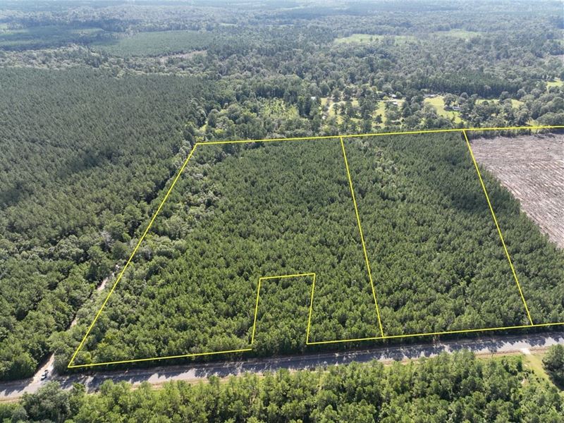 19 Acres, T-1, State Road 3205 : Oakdale : Allen Parish : Louisiana