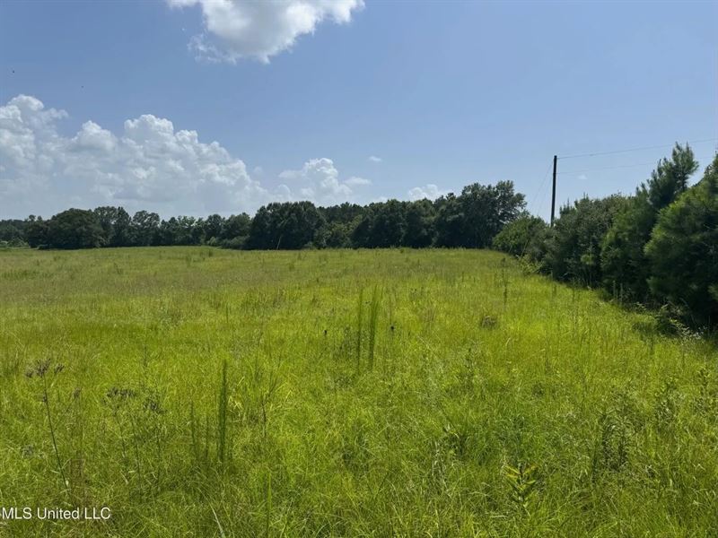 Mississippi Land for Sale Near Osyk : Magnolia : Pike County : Mississippi