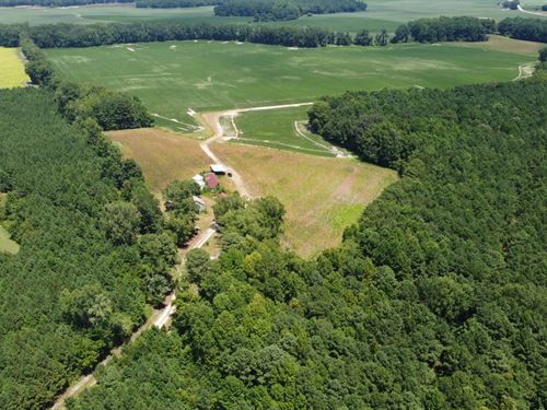 NC 903, 158 Acre Tract : Robersonville : Martin County : North Carolina