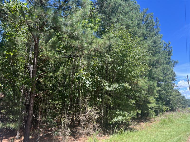 Belton Homestead : Belton : Anderson County : South Carolina