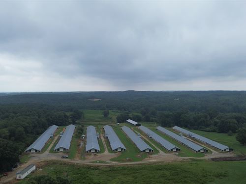 Profitable 8 House Broiler Farm : Lavonia : Hart County : Georgia