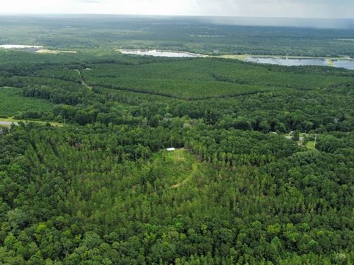 83 Acres Pittsview, AL : Pittsview : Russell County : Alabama