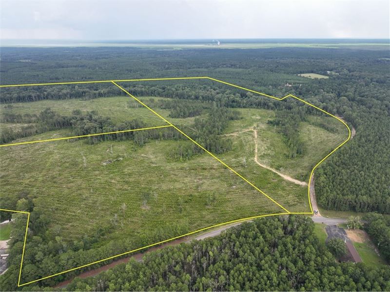 25 Acres, T-1, Highway 127, 3050 : Trout : Lasalle Parish : Louisiana