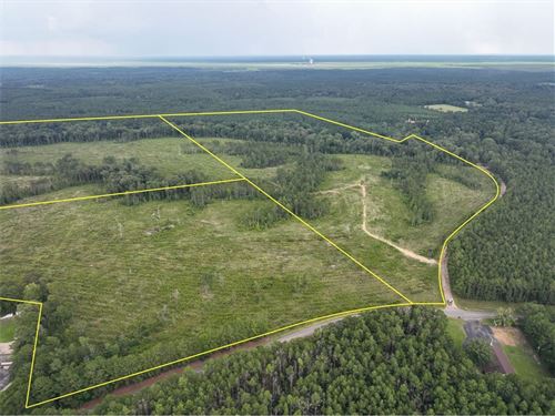 71 Acres, T-2, Highway 127, 3050 : Trout : Lasalle Parish : Louisiana