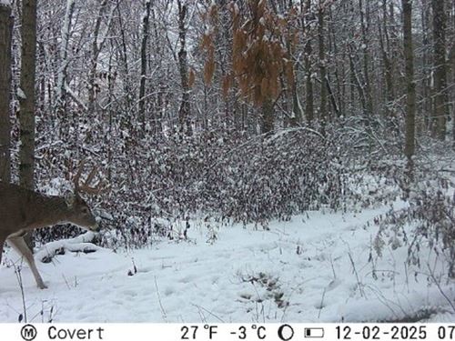 Greentree 80 : Newton : Jasper County : Illinois