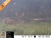 Greentree 80 : Newton : Jasper County : Illinois