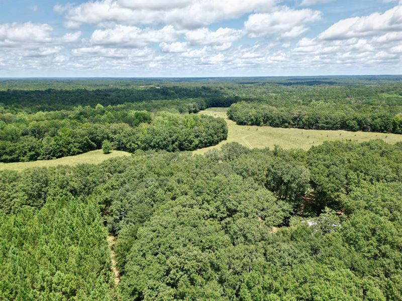 Krause Farm Hideaway : Cuthbert : Stewart County : Georgia