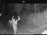 34-Acre Wooded Retreat in Brown Cou : Nashville : Brown County : Indiana