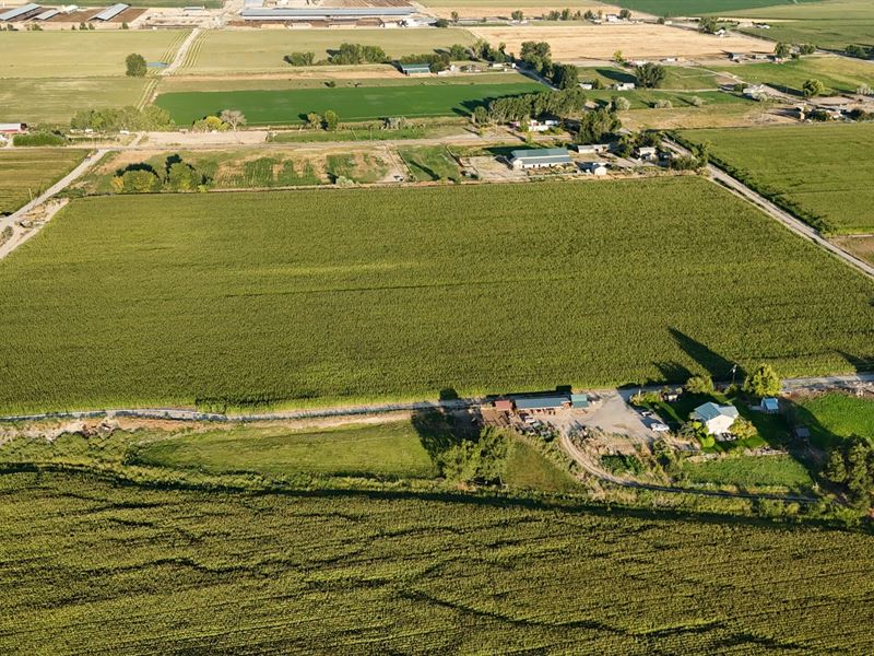 Fruitland Prime Acreage : Fruitland : Payette County : Idaho
