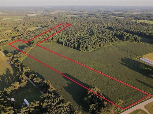 24.17 Acres : Albertson : Duplin County : North Carolina