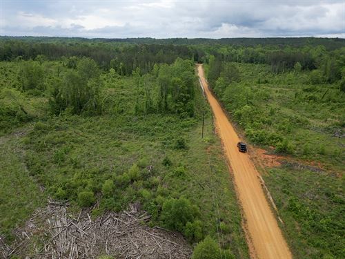 40 Acres Hogue Rd. Pickens Count : Carrollton : Pickens County : Alabama