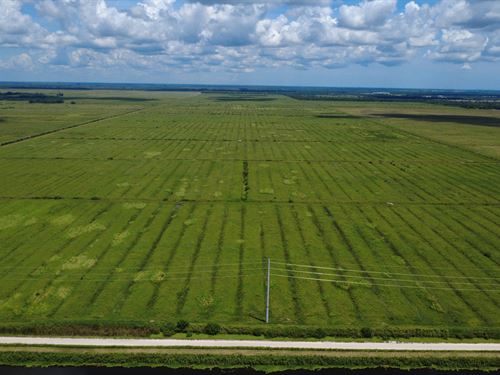 Oslo Rd 300 Acres : Vero : Indian River County : Florida