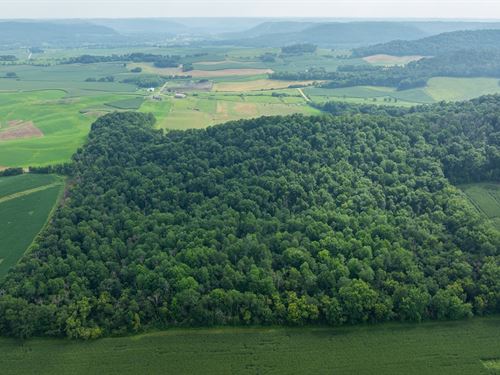 30 Acres Buffalo County : Mondovi : Buffalo County : Wisconsin