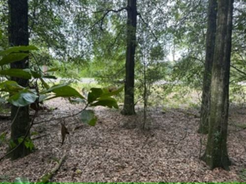 Big Oaks 23 : Ariton : Dale County : Alabama