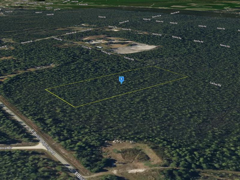 10 Acres in Brunswick County NC : Winnabow : Brunswick County : North Carolina