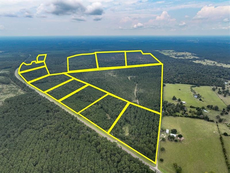 48 Acres, T-29, Highway 94, 4552 : Groveton : Trinity County : Texas