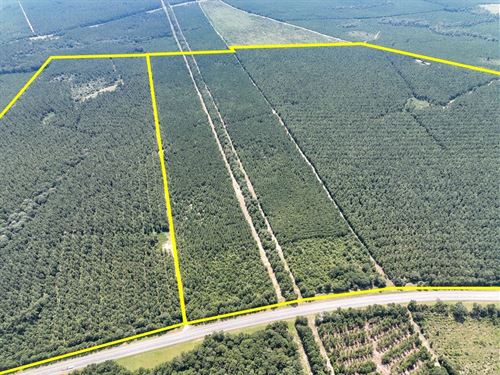 134 Acres, Highway 190, T-6, 287 : Woodville : Tyler County : Texas