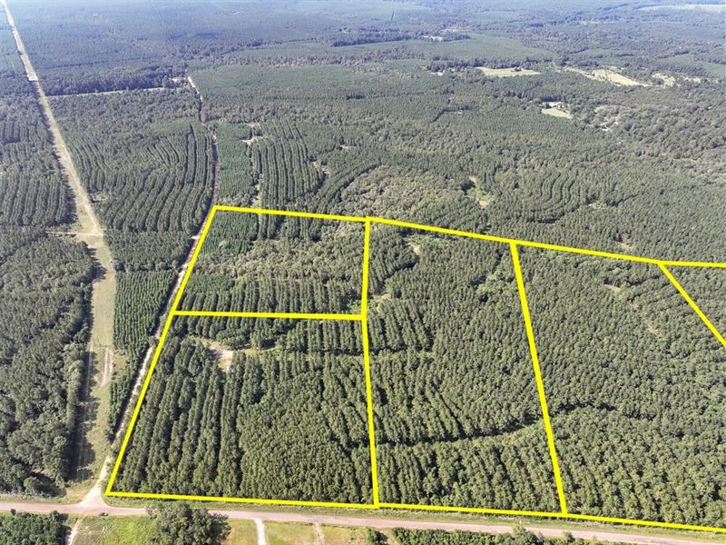 23 Acres, CR 1325, T-4, 285007 : Warren : Tyler County : Texas