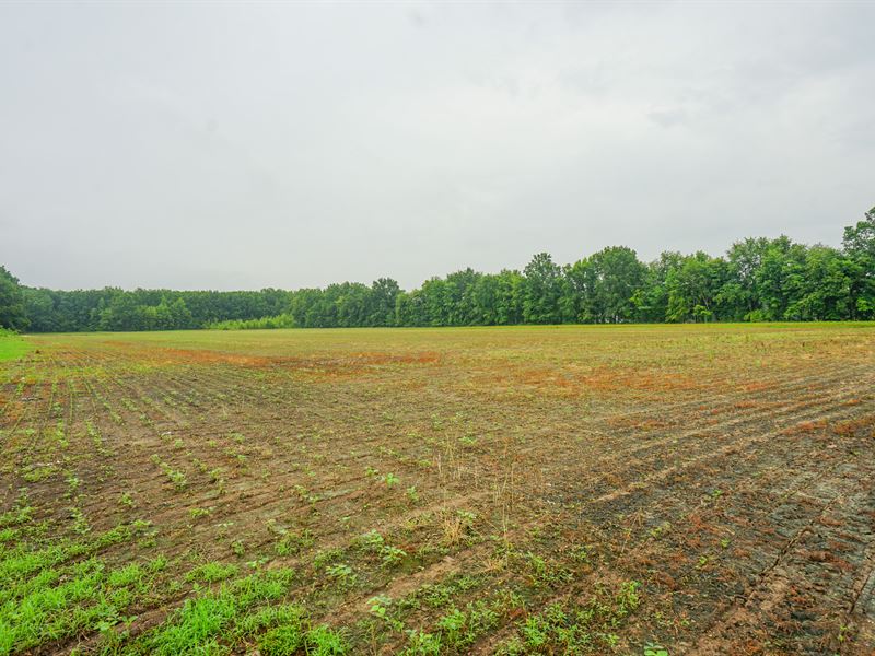Duncanson Rd Lot 2 17.031 : Sardinia : Highland County : Ohio
