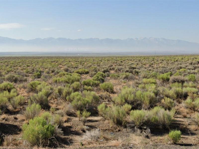 Your Huge 10 Acres Residential Lot : Elko : Elko County : Nevada