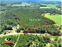 54.5 Ac Scuffletown Rd : Bristol : Pierce County : Georgia