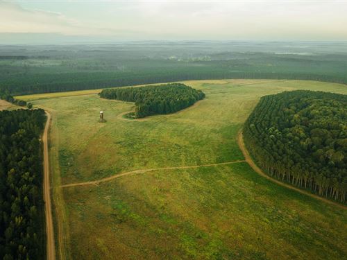 457 Acres In Choctaw County, MS : McCool : Choctaw County : Mississippi