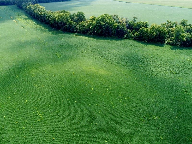 Land Auction, Montomgery CO Indiana : Ladoga : Montgomery County : Indiana