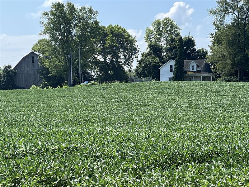 Real Estate Auction, Noble Co. In : Kimmell : Noble County : Indiana