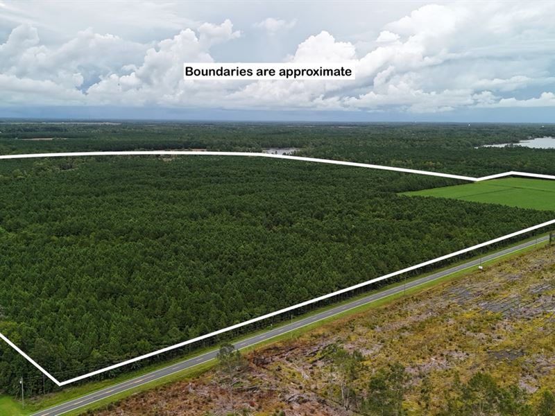 Rare Tract with Creek Frontage : Oriental : Pamlico County : North Carolina