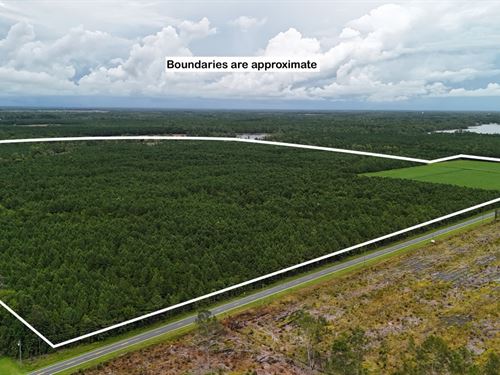 Rare Tract with Creek Frontage : Oriental : Pamlico County : North Carolina